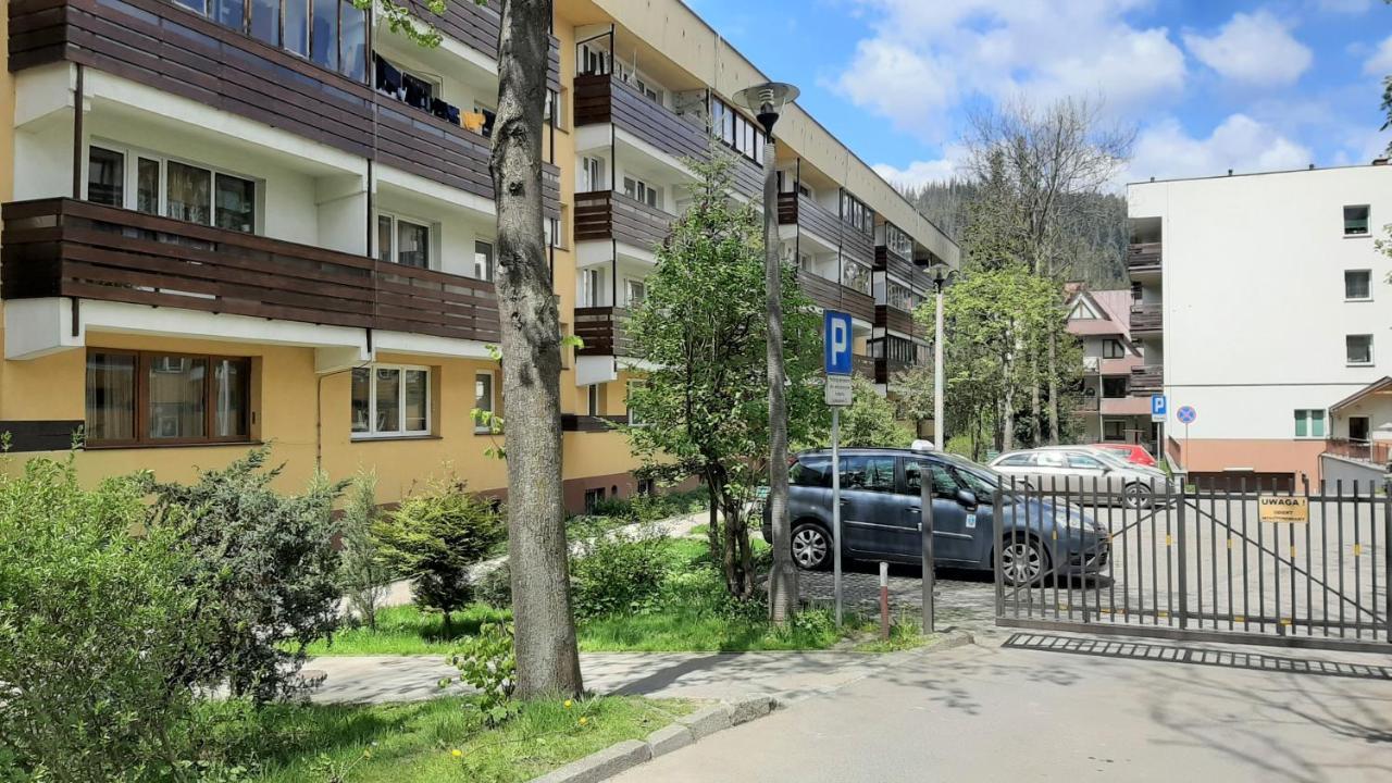 זקופאנה Studio Mila I Nido W Centrum Apartzakop מראה חיצוני תמונה