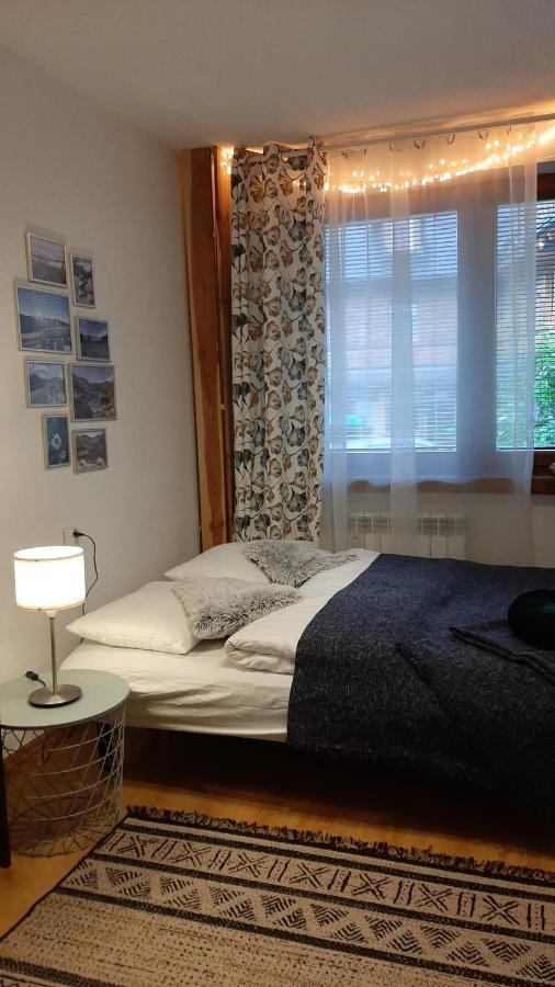 זקופאנה Studio Mila I Nido W Centrum Apartzakop מראה חיצוני תמונה
